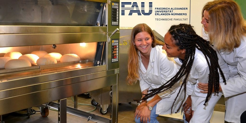 Bild des neu entwickelten Backofens