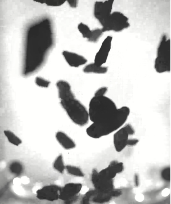 Masterarbeit: Digitale Bildverarbeitung zur Überwachung partikelbeladener Strömungen